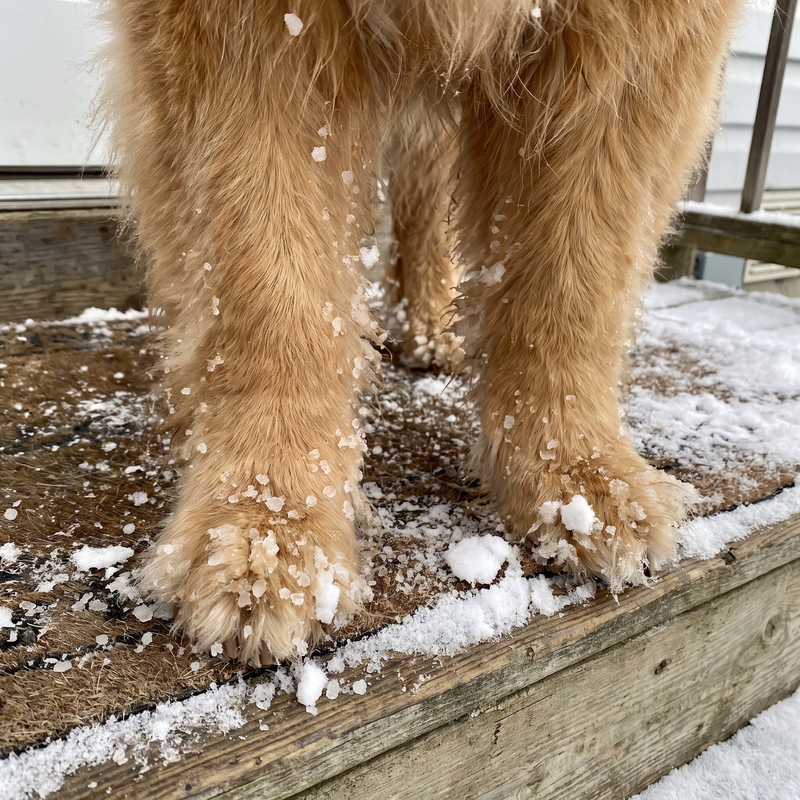 3. It's a magnet for mud, burrs, ice, and everything else